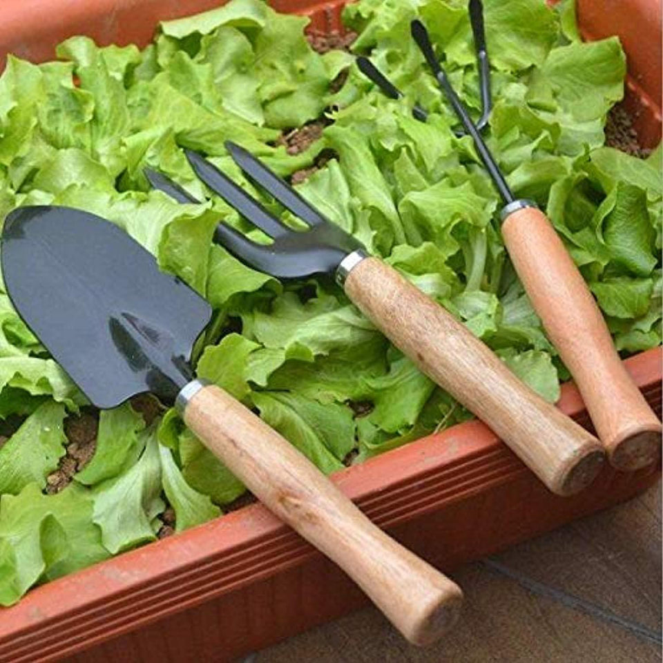 ShopExo Gardening Hand Cultivator, Big Digging Trowel, Shovel & Garden Gloves with Claws for Digging & Planting